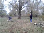 Opruimen Teggerse Plas